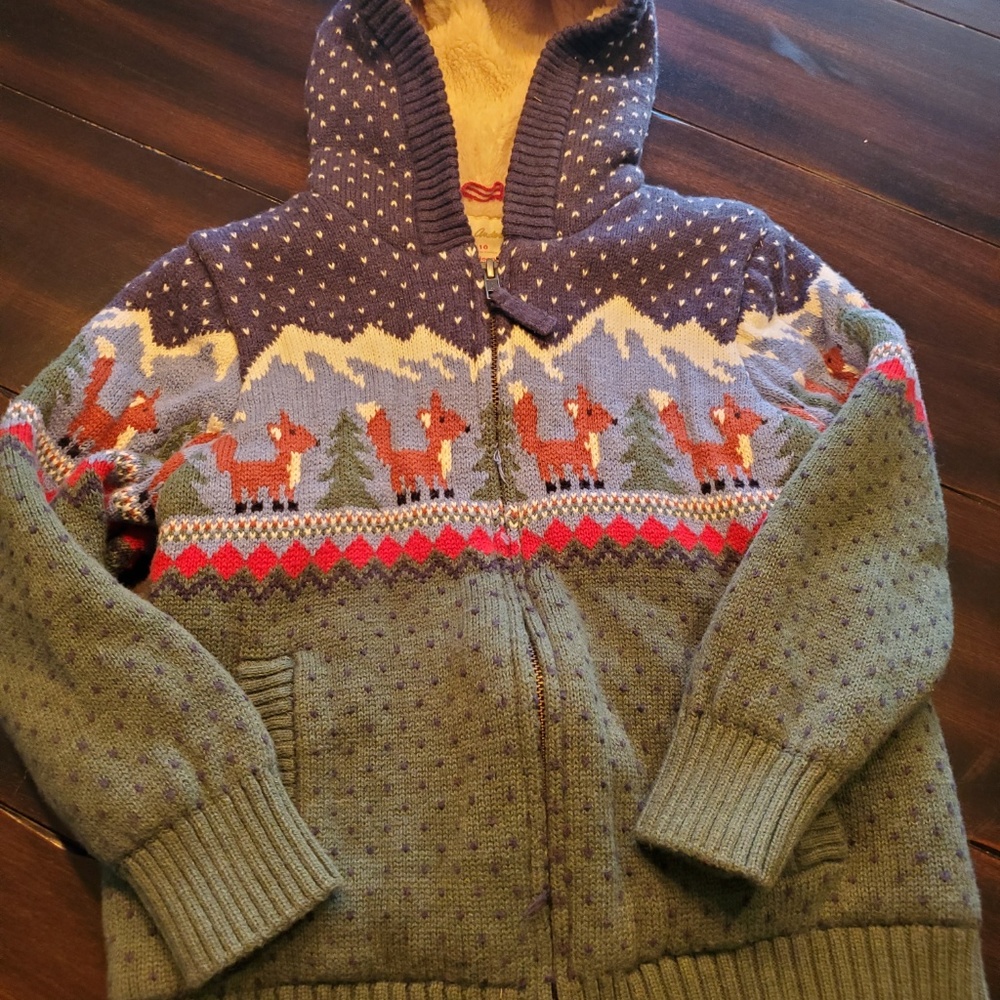 Hanna Andersson Winter Jacket